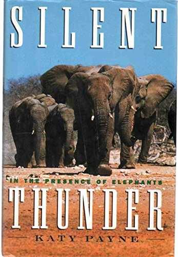 SILENT THUNDER: In the Presence of - Hardcover, by Payne Katy - Acceptable